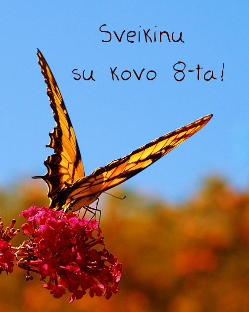 kovo 8 atvirukas su drugeliu